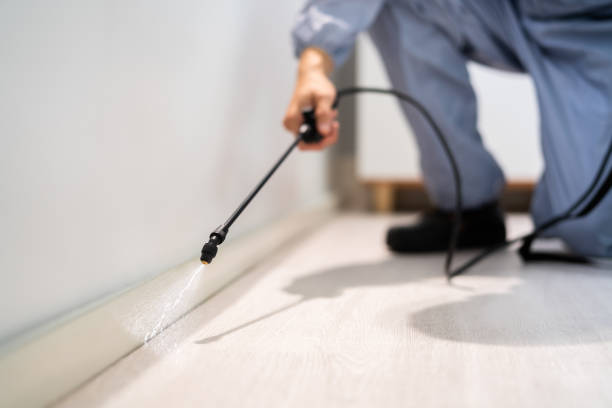 Licensed Mosquito Control service in Wallingford Center, CT - Show Me Pest Control