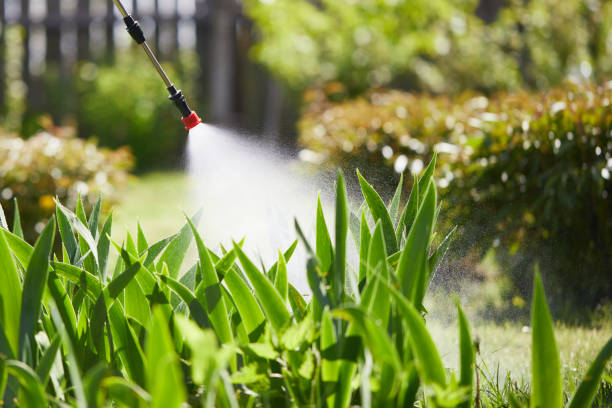 24/7 Emergency Mosquito Control experts in Wallingford Center, CT