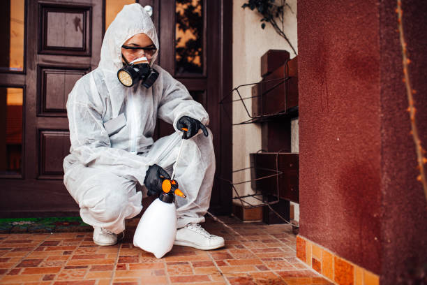Reliable Mosquito Control contractor in Wallingford Center, CT by Show Me Pest Control